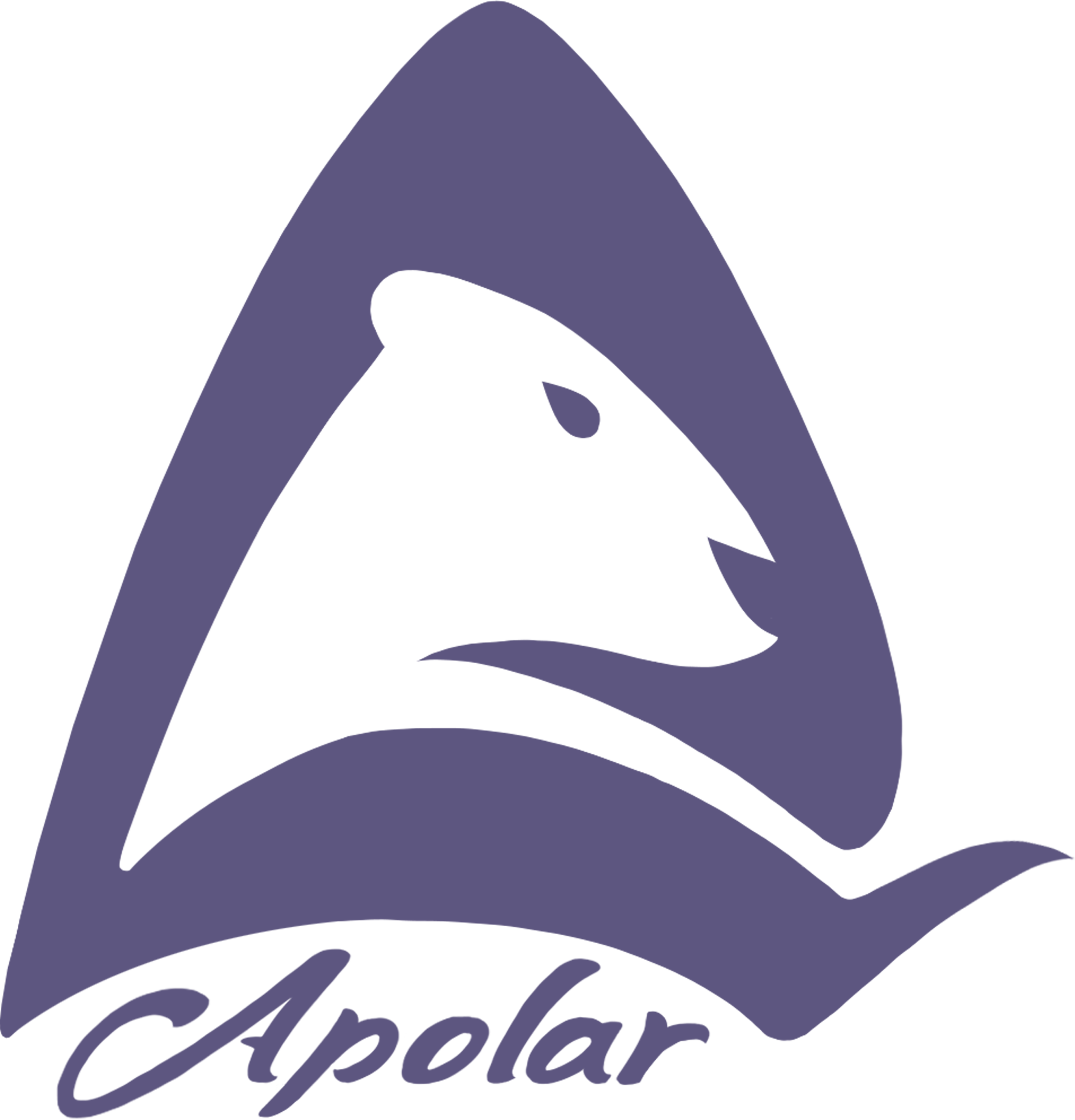 APOLAR STUDIO – Apolar Studio